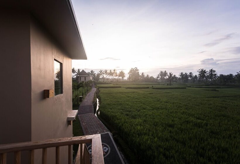 Fotos del hotel Manyi Village:  8