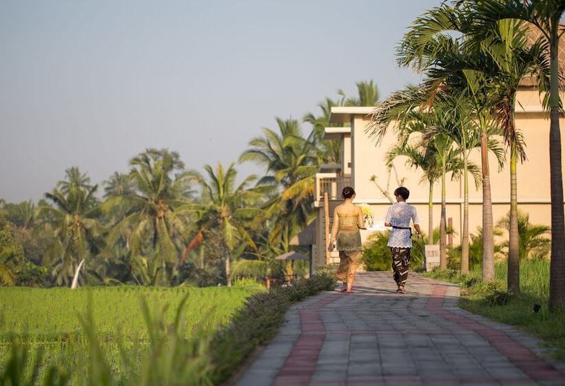 Fotos del hotel Manyi Village:  7