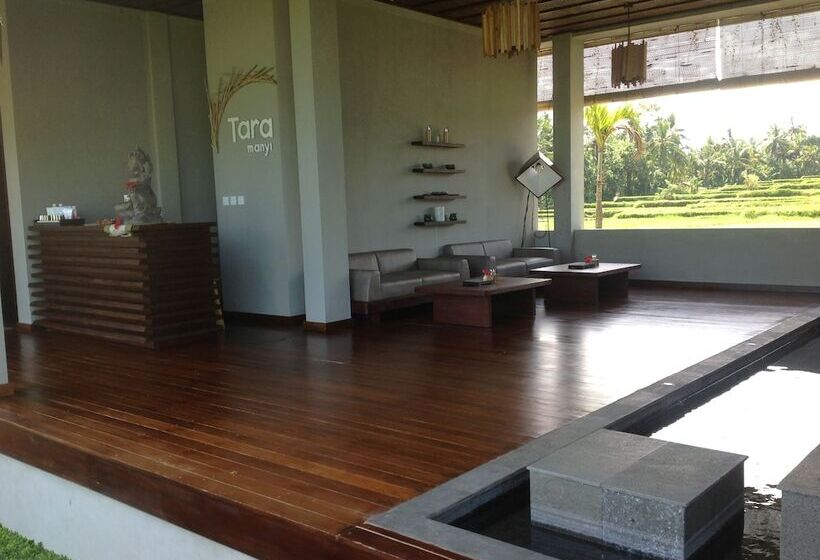 Fotos del hotel Manyi Village:  6