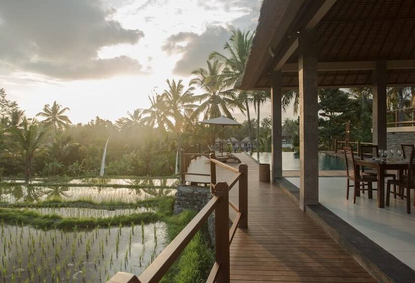 Fotos del hotel Manyi Village:  5