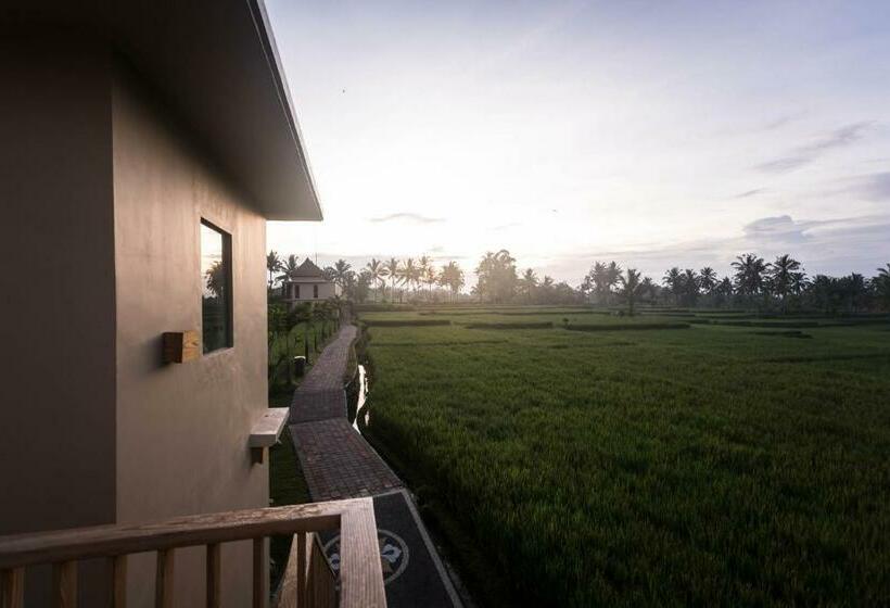 Fotos del hotel Manyi Village:  16