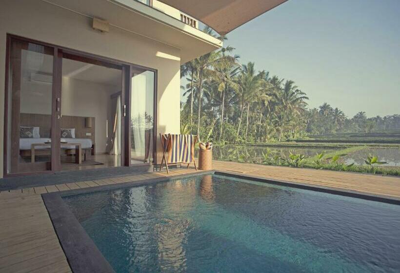 Fotos del hotel Manyi Village:  19