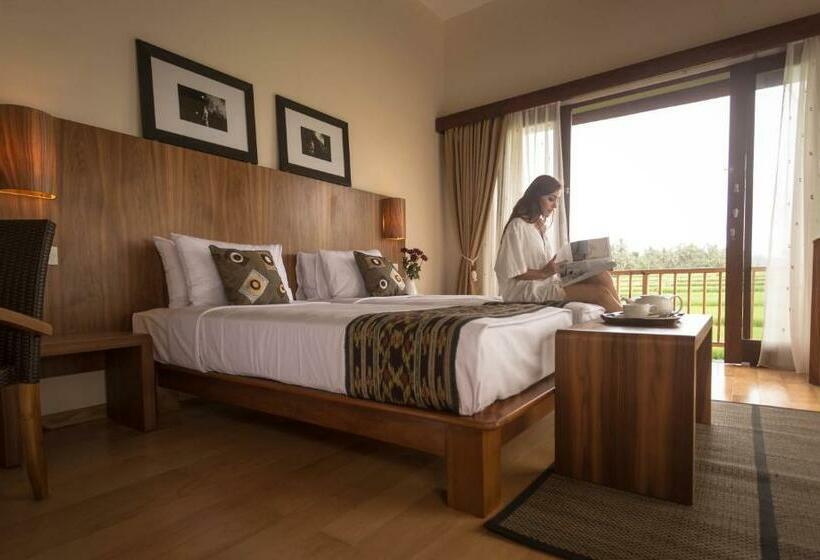 Fotos del hotel Manyi Village:  10