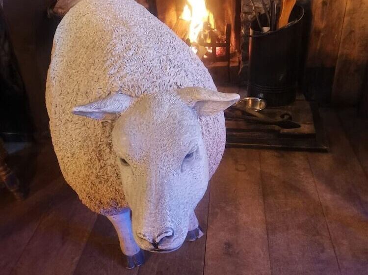 호텔 The Dolphin Inn