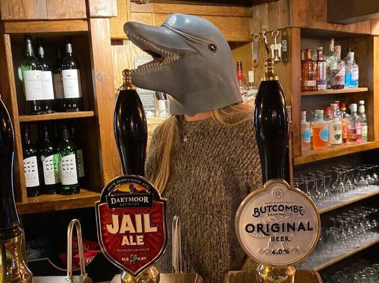 호텔 The Dolphin Inn