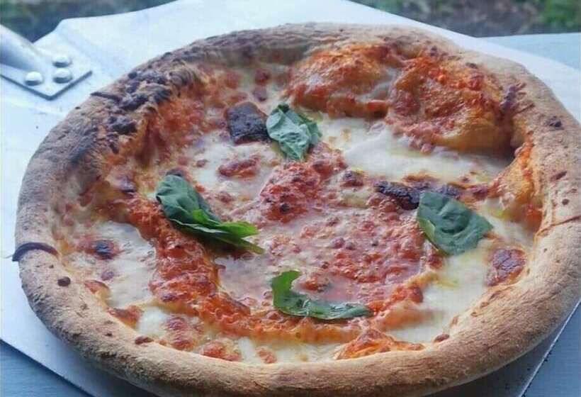 호텔 The Dolphin Inn