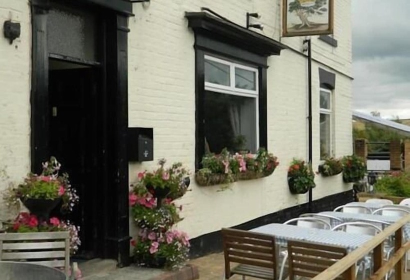 فندق The Royal Oak