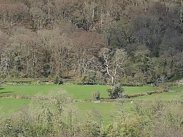 פנסיון Glenn Eireann House