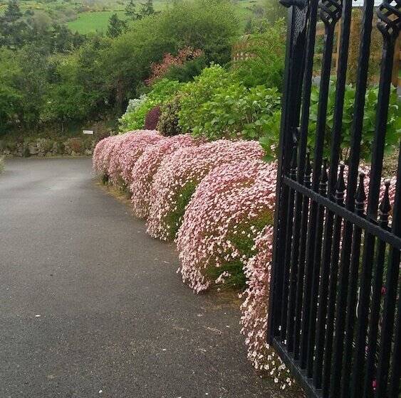 פנסיון Glenn Eireann House