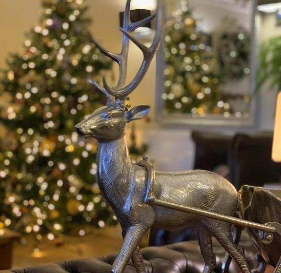 ベッドアンドブレックファースト Beach Front Guest House