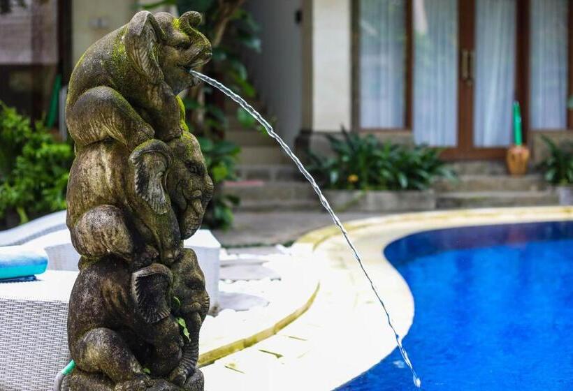 Fotos del hotel Amoya Inn:  24