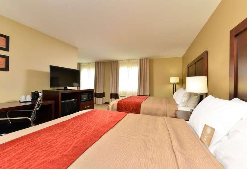 هتل Comfort Inn & Suites Manheim   Lebanon