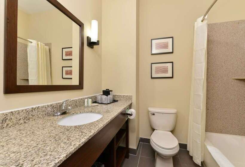 هتل Comfort Inn & Suites Manheim   Lebanon