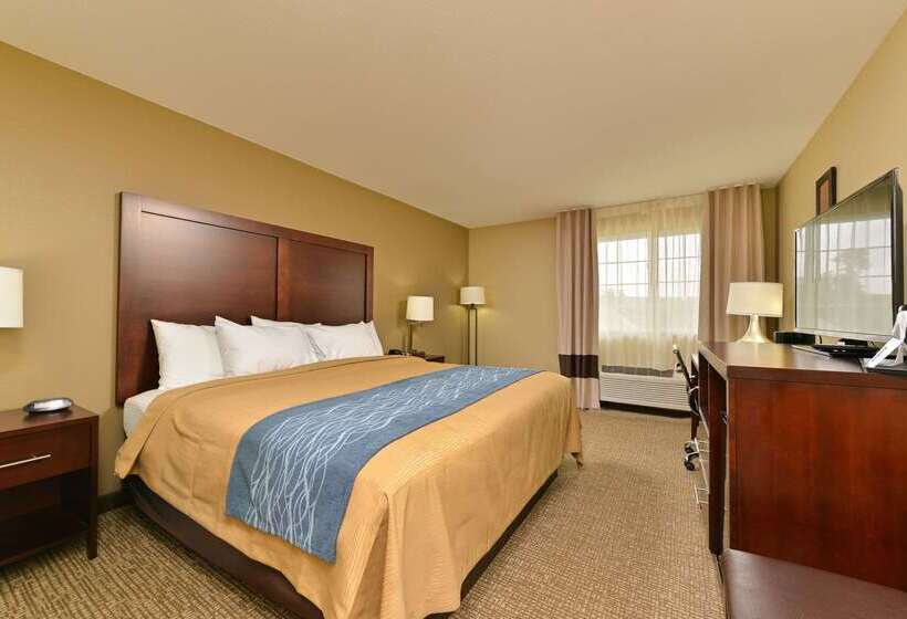 هتل Comfort Inn & Suites Manheim   Lebanon