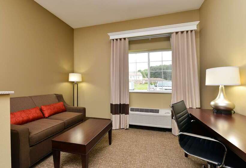 هتل Comfort Inn & Suites Manheim   Lebanon