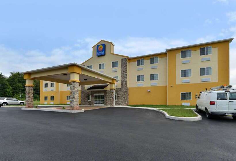 هتل Comfort Inn & Suites Manheim   Lebanon