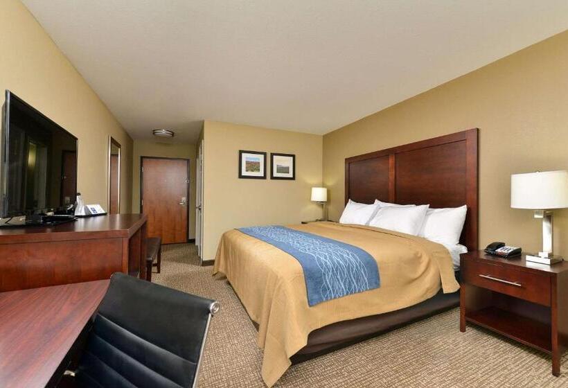 هتل Comfort Inn & Suites Manheim   Lebanon