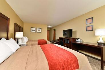 هتل Comfort Inn & Suites Manheim Lebanon