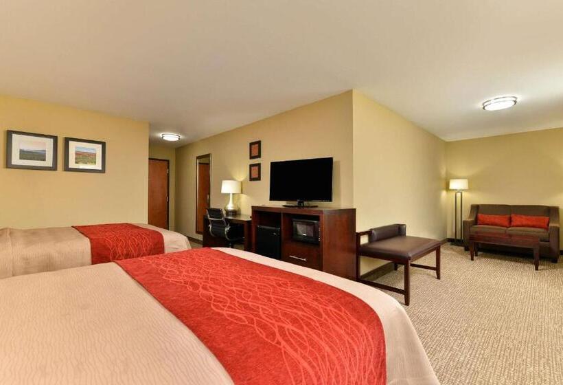 هتل Comfort Inn & Suites Manheim   Lebanon