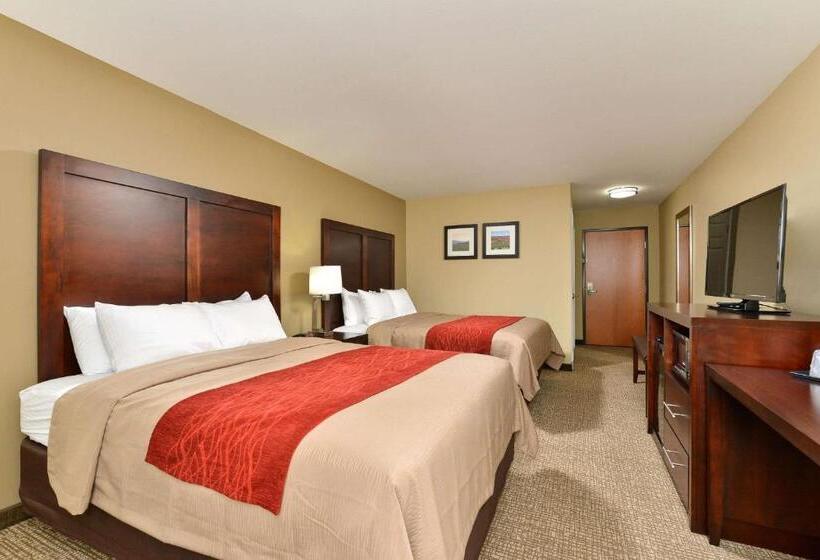 هتل Comfort Inn & Suites Manheim   Lebanon