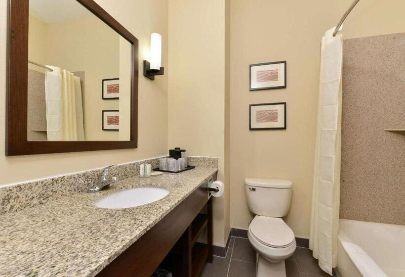 هتل Comfort Inn & Suites Manheim   Lebanon