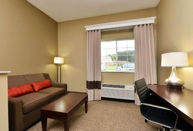 هتل Comfort Inn & Suites Manheim   Lebanon