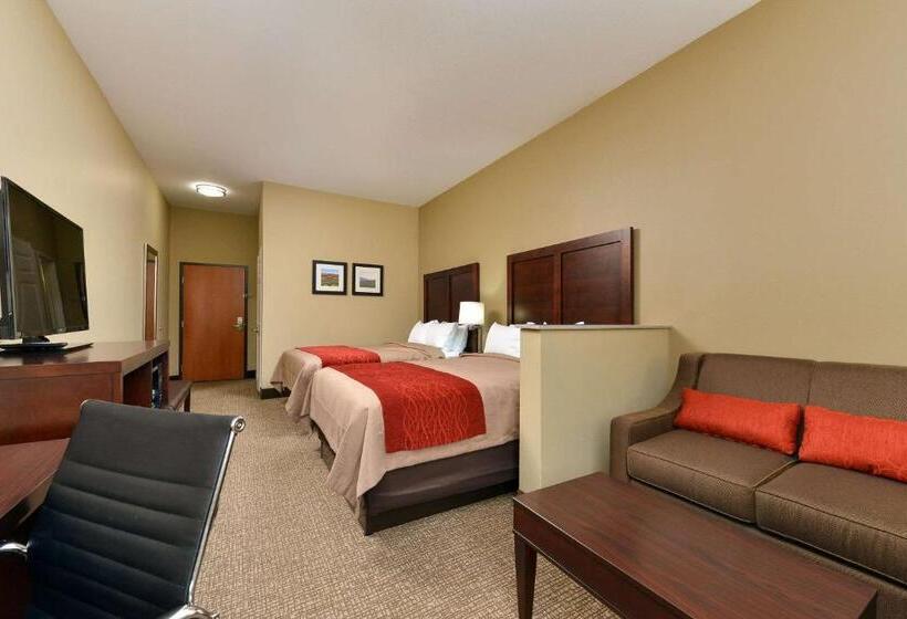 هتل Comfort Inn & Suites Manheim   Lebanon