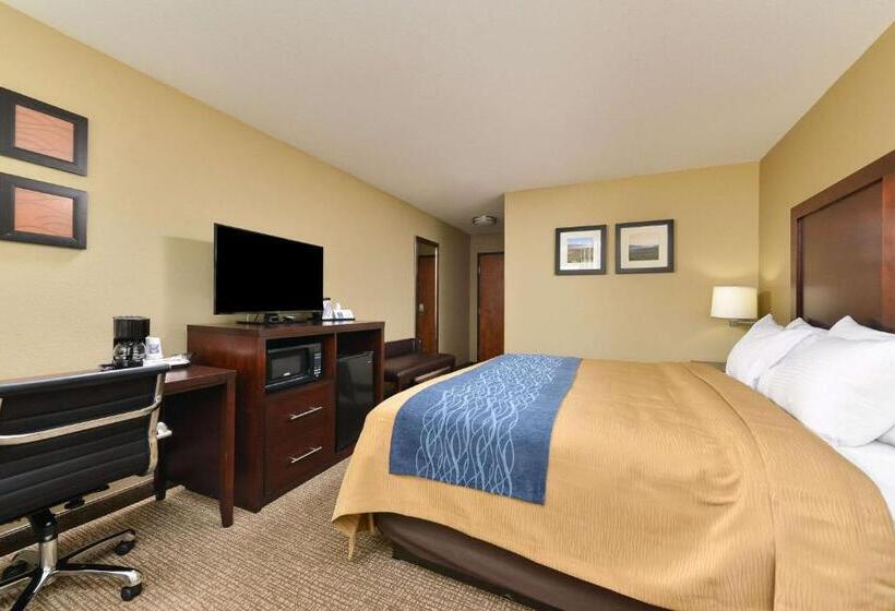 هتل Comfort Inn & Suites Manheim   Lebanon