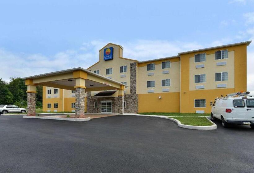 هتل Comfort Inn & Suites Manheim   Lebanon