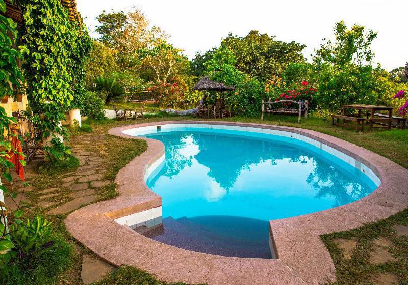 Hotel Distant Relatives Ecolodge & Backpackers