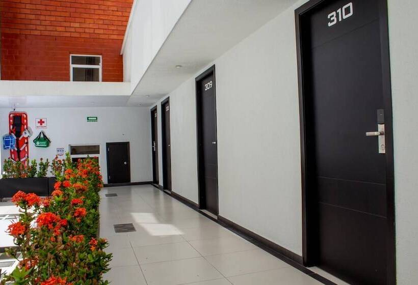 Fotos del hotel Metropolitano:  12