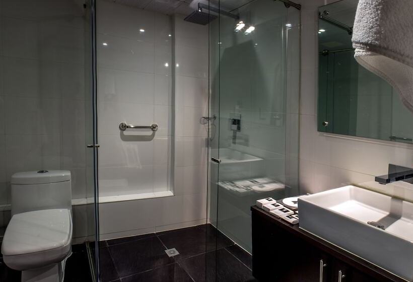 Fotos del hotel Metropolitano:  7