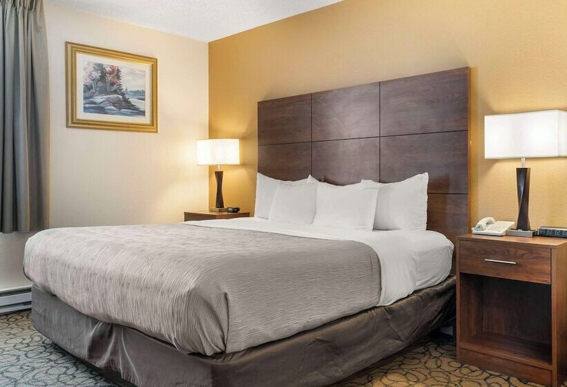 호텔 Quality Inn & Suites