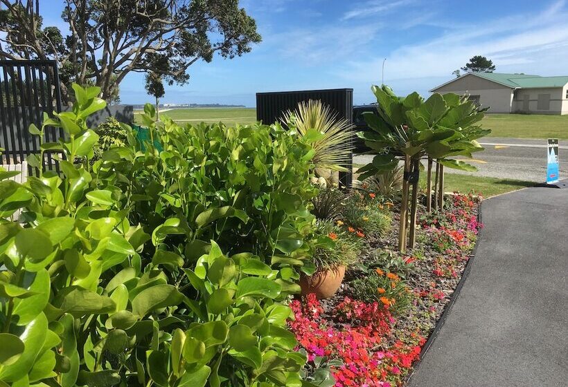 モーテル Carters By The Sea Beachside Studio Apartments