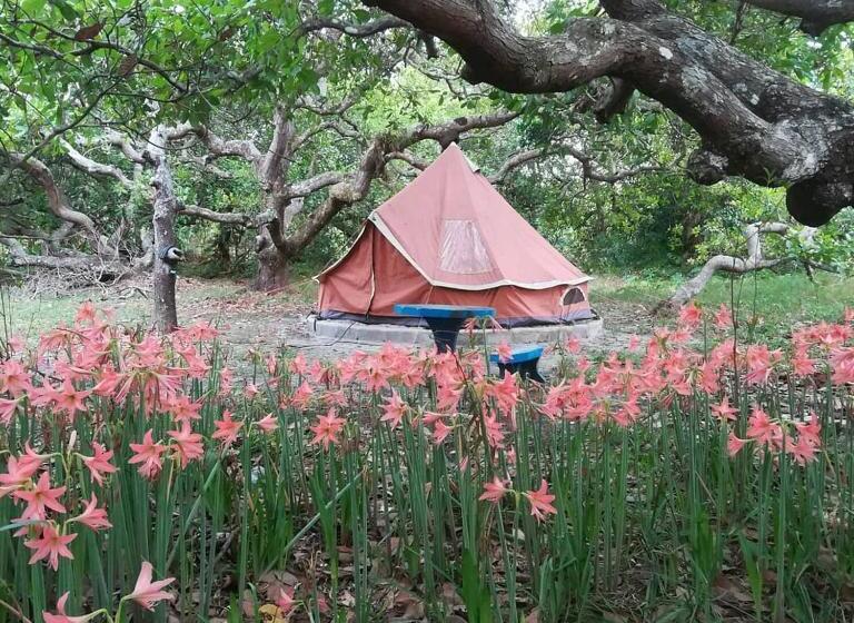 پانسیون Cashew Nut Bungalow, Ko Mook