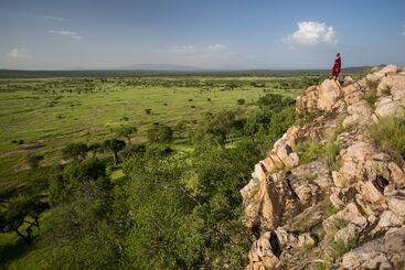 هتل Elewana Tarangire Treetops