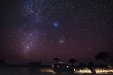 هتل Elewana Tarangire Treetops
