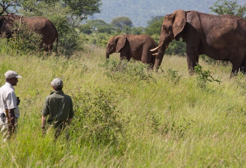 هتل Elewana Tarangire Treetops