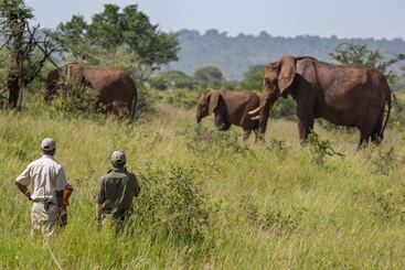 هتل Elewana Tarangire Treetops
