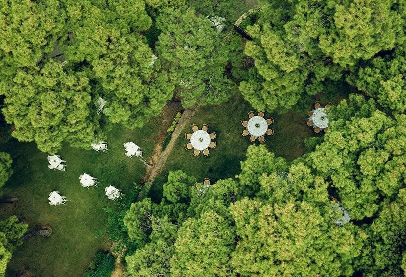 Fotos del hotel Domotel Kastri:  20