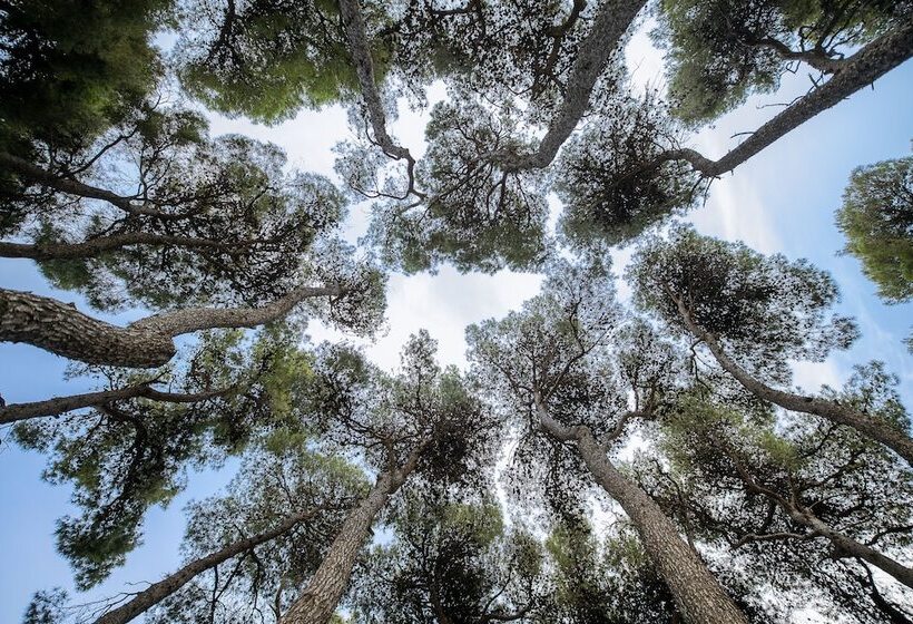 Fotos del hotel Domotel Kastri:  8