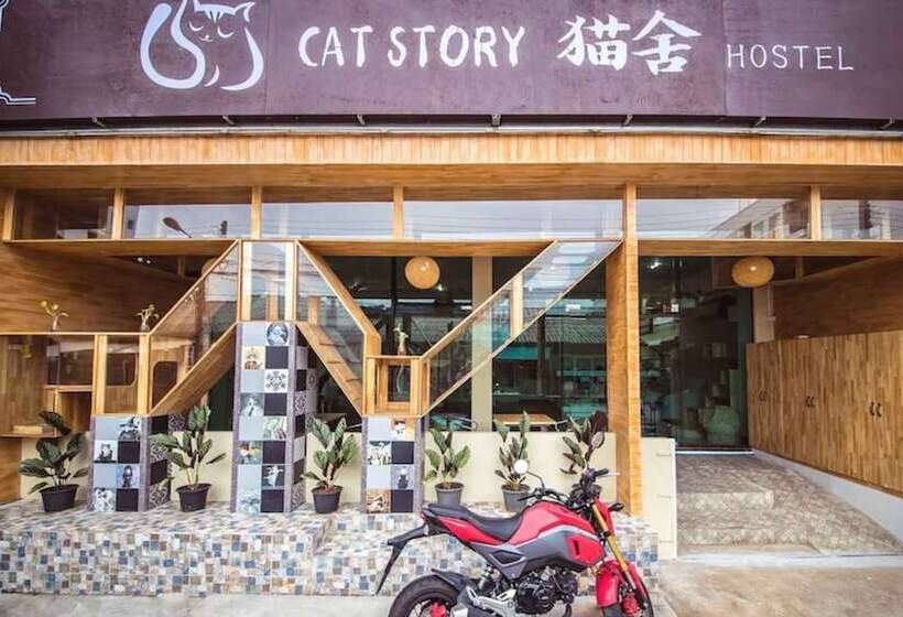 Fotos del hotel Cat Story:  15