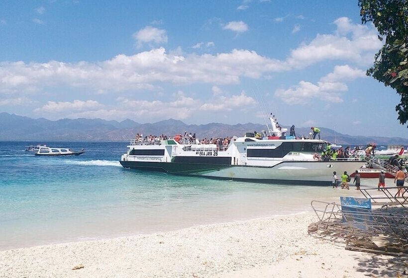 Fotos del hotel Dejavu:  5