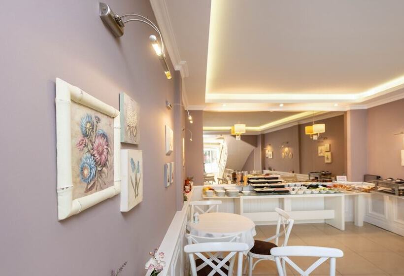 Fotos del hotel Mr. Bird:  18