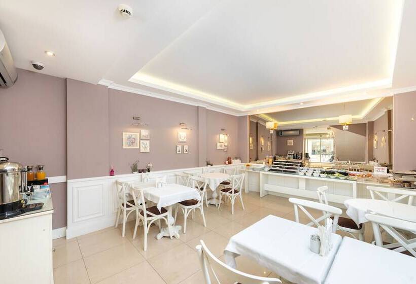 Fotos del hotel Mr. Bird:  22