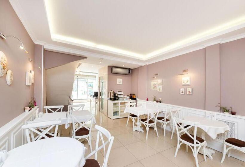 Fotos del hotel Mr. Bird:  42