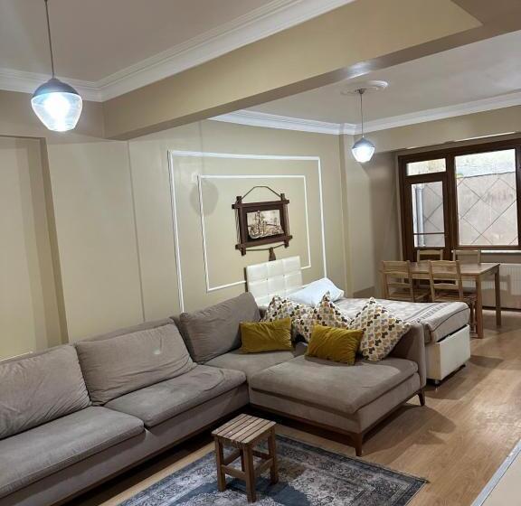 Fotos del hotel Ortakoy Aysem Sultan:  34