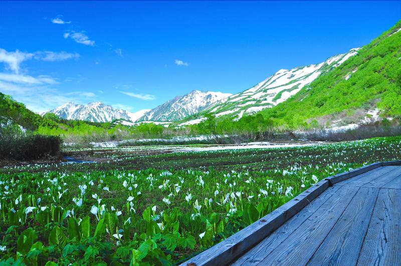 هتل Resort Inn Marion Shinano
