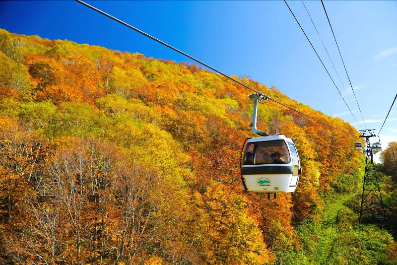 هتل Resort Inn Marion Shinano
