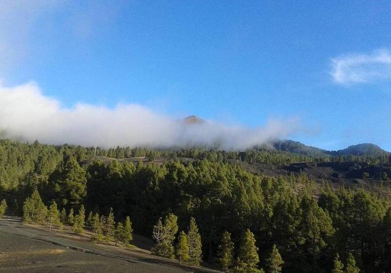 La Palma Sun Nudist